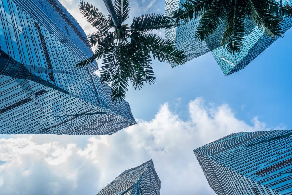 Real Estate in Dubai: Why Smart Money is Pouring In (The 2025 Investor's Gold Rush)