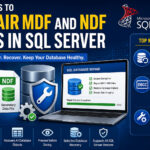 Methods to repair MDF and NDF files in SQL Server