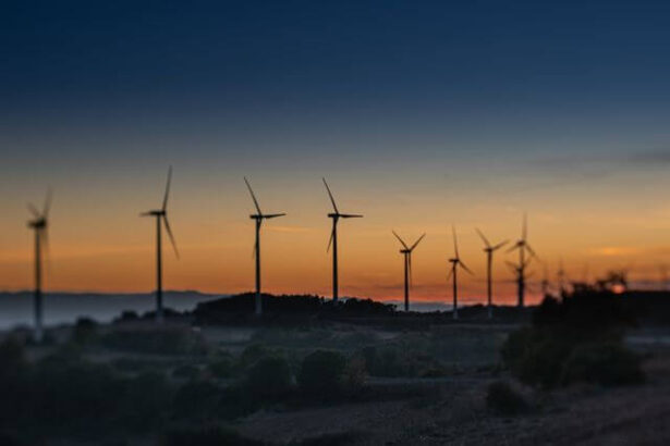 Why Energy Strategy Is Becoming A Competitive Advantage For Canadian Businesses